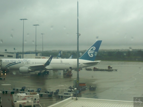 NewZealand 09 10  003